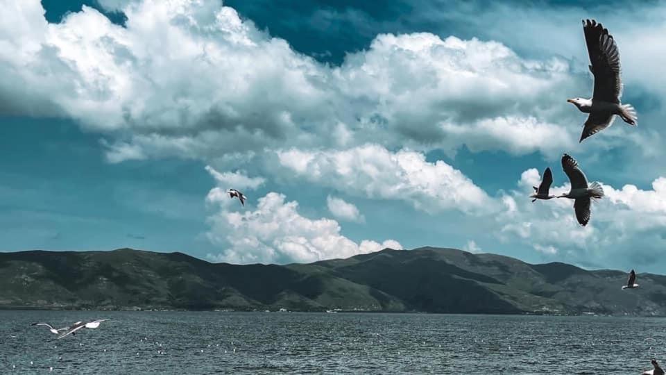 Guest House At The Lake Sevan Exteriér fotografie
